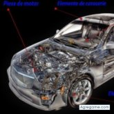 autocars chico soltero en 