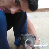 joselxti chico soltero en La Gallega