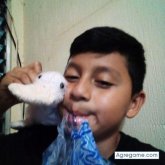 Andy1134