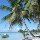 arqvilla chico soltero en Pantoja