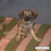 Vir29 chico soltero en Pinto