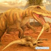 Chatear con artimisruiz de Inglaterra