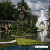 Chatear con robertrivera de Leticia