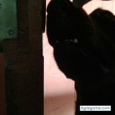 analucia20 chica soltera en Piura