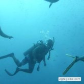 caronv65 chico soltero en Guia De Isora