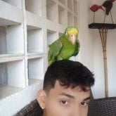 Encuentra Hombres solteros en Carmen De Apicalá
