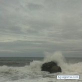 monte40 chico soltero en Grado