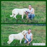 Martin Castro Agrelo