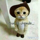 Chatear con arthur2682 de Progreso