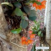 juanm9137 chico soltero en Puerto Iguazú