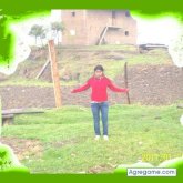8978 foto #18