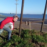 Busco conocer gente. Conocer alguien