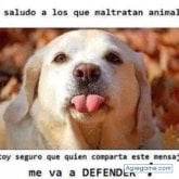 margyys chica soltera en Armenia