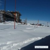 lizamajavier chico soltero en Pucón