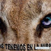 carolinaa foto #19