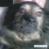 sandraz chica soltera en Ensenada