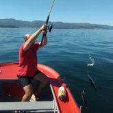 Busco pareja. Pareja