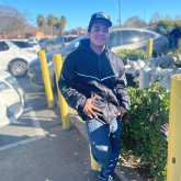 Estudiante. Busco pareja. Pareja o