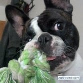 Informático. Busco ligar.