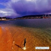 Angelillogrillo chico soltero en Ferrol