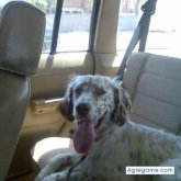 eugeni chico separado en Tarragona