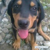 Foto de perfil de katsit293