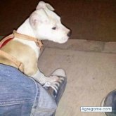 Chatear con noalp de Wilmington