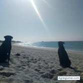 roderodenas chico soltero en 