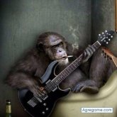 alainr chico soltero en 