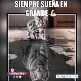 Mujer Lore1377 de El Tumbador