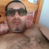 Perrito2