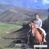Chiguiro chico soltero en Nocaima