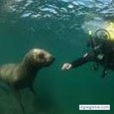 Busco hacer amistades. Mujeres. Hombre.