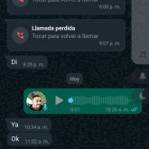 Olanis chico separado en Las Matas De Farfán