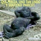 Foto de perfil de Lorenzo73