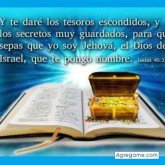 TOYLUGO chico soltero en Barranquilla