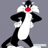 ebertoantonio foto #23