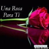 Busco conocer gente.