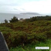 Chatear con Victorvaldivieso de Suiza