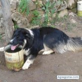 KUTXA chico soltero en Burgos