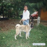 AMORO chico soltero en Poza Rica De Hidalgo
