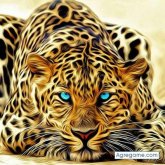 Chatear con Gaboshark de Cochabamba Ciudad