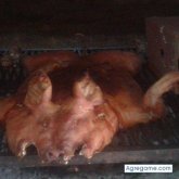 Ver fotos más de Samsams