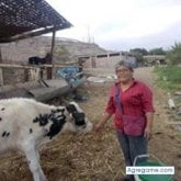 Foto de perfil de mariaines5176