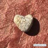 Chusconocerte chico soltero en Estepona