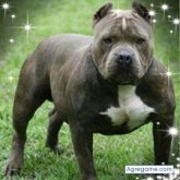 Foto de perfil de roilbismolineda