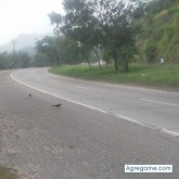 arielamador7604 chico soltero en Choloma