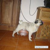 hiidrocalida chica casada en Aguascalientes