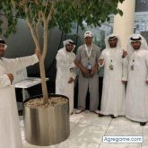 Chatear con Marconava de Canada