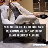 Ynoy Hdz